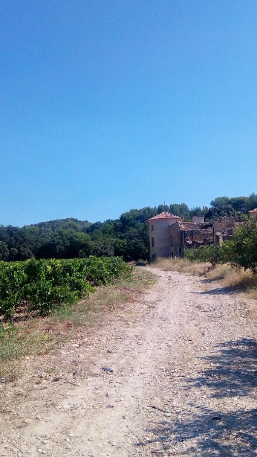 Les Cigales Bed & Breakfast Villelaure ภายนอก รูปภาพ